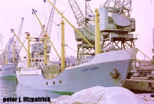 peter j. fitzpatrick 3