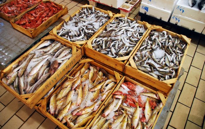 Κατάσχεση ακατάλληλων αλιευμάτων σε ψυκτική αποθήκη του Πειραιά