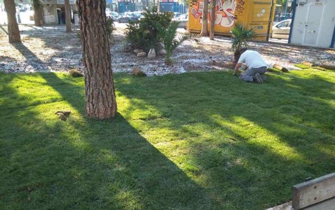 Δήμος Πειραιά : Εκτεταμένες εργασίες και αναπλάσεις πρασίνου