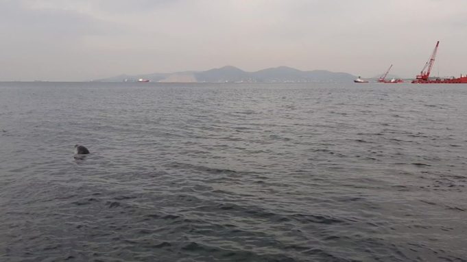 Πειραιάς..στα χρόνια του κορωναϊού,μέρος 35ο : Τα νερά της Πειραϊκής,και τα καλά και τα κακά τους