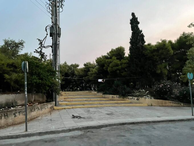 Προφήτης Ηλίας : Προσέχει…για να έχει ο Δήμος Πειραιά