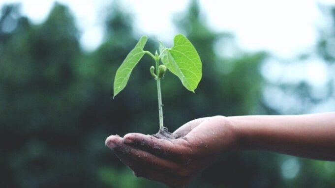“Πράσινες” επιχειρήσεις με GreenTecLab