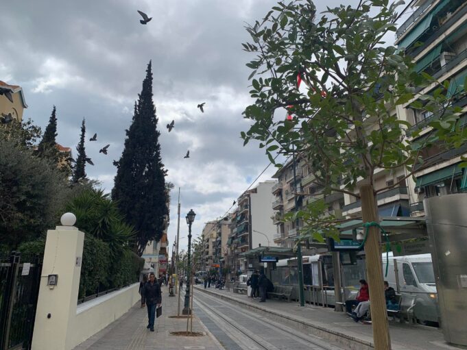 Δενδροφυτεύσεις επί της Γρηγορίου Λαμπράκη από τον Δήμο Πειραιά