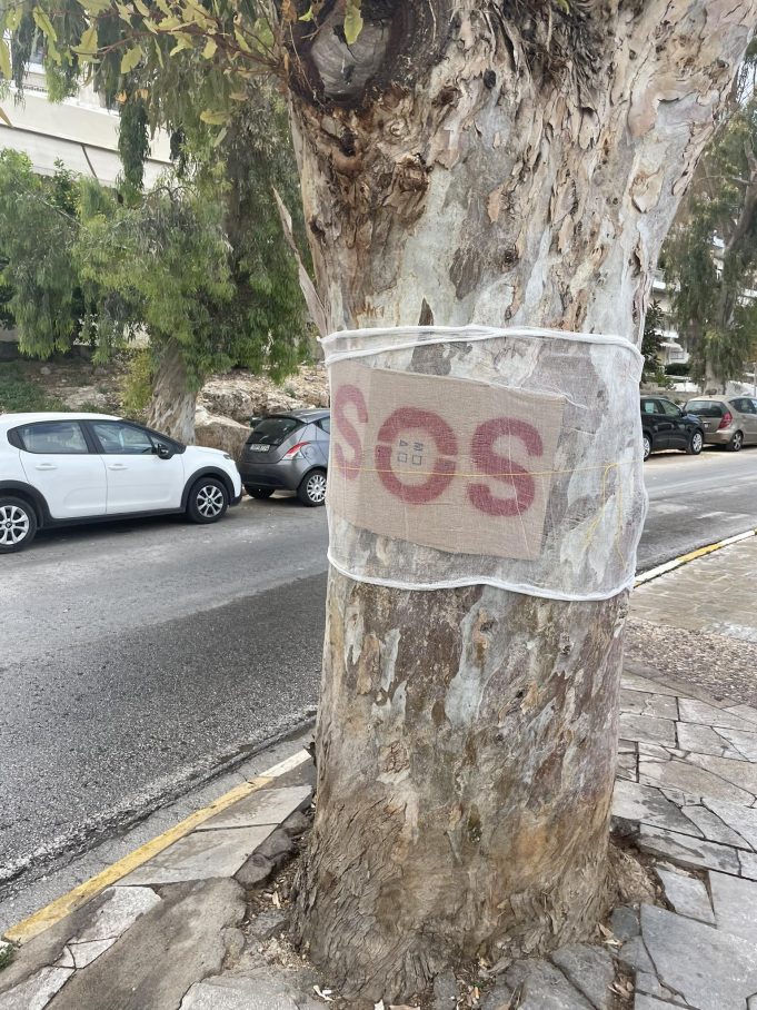 Γέμισαν με “SOS” οι ευκάλυπτοι της Πειραϊκής
