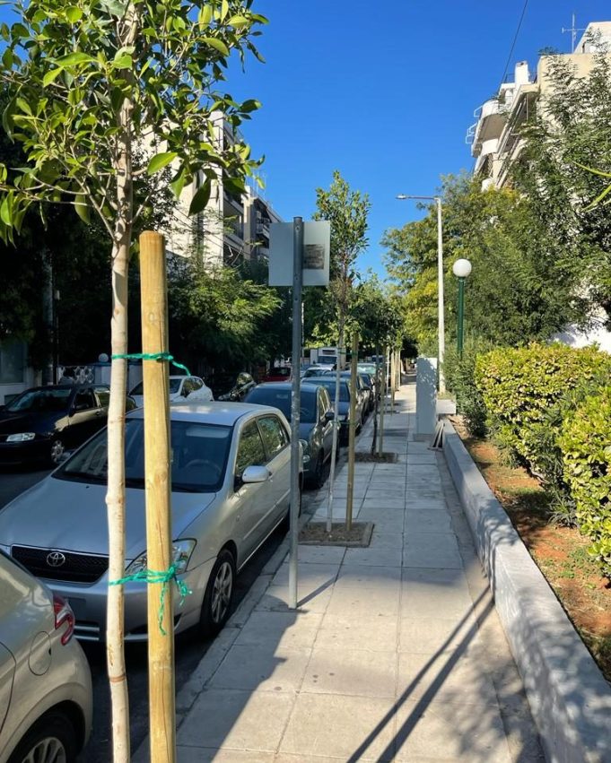 Πενήντα νέα δένδρα φυτεύονται στην περιοχή του Νέου Φαλήρου από τον Δήμο Πειραιά