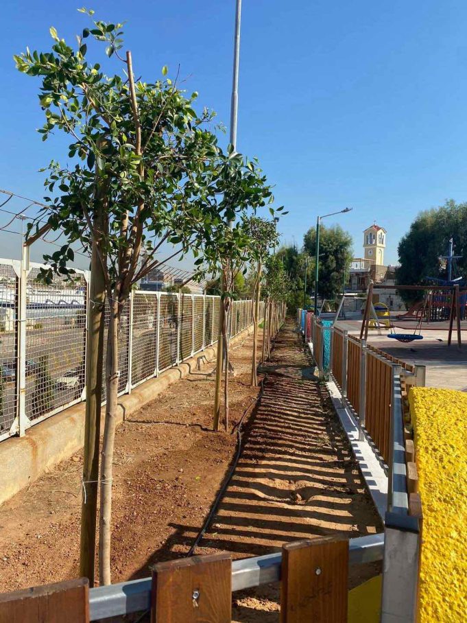 Ένα νέο τοπίο δημιουργείται στον Πειραιά με δενδροφυτεύσεις, αναπλάσεις πρασίνου και φυτεύσεις λουλουδιών από τον Δήμο Πειραιά