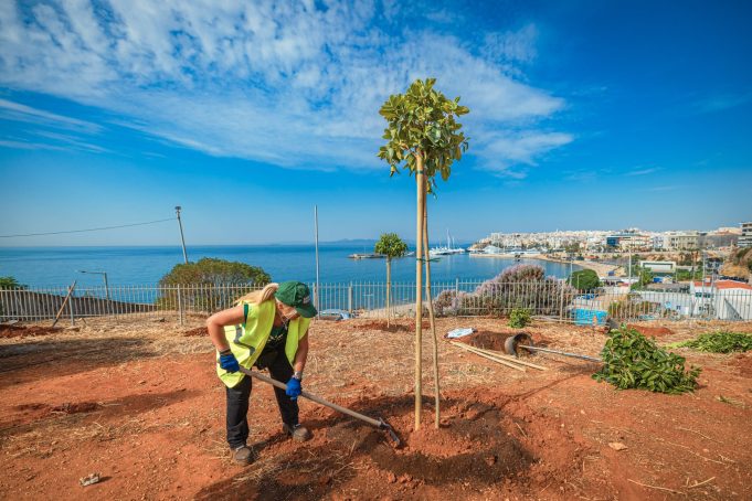 70 νέα δέντρα φυτεύτηκαν από τον Δήμο Πειραιά με αφορμή την Παγκόσμια Ημέρα Περιβάλλοντος