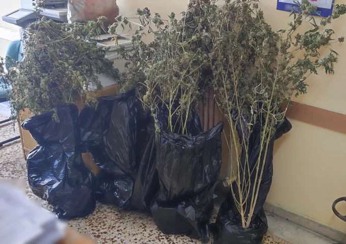 Εντοπίστηκε πλήρως εξοπλισμένο εργαστήριο κάνναβης στον Πειραιά – Δύο συλλήψεις