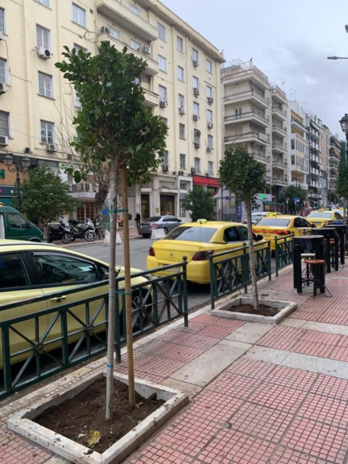 Πασαλιμάνι : Είκοσι δύο νέα δέντρα φυτεύθηκαν επί της Γρηγορίου Λαμπράκη από τον Δήμο Πειραιά