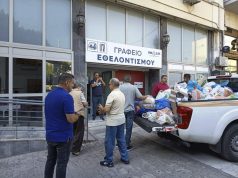 Μεγάλη ανταπόκριση στην εθελοντική δράση του Δήμου Πειραιά για τα αδέσποτα ζώα